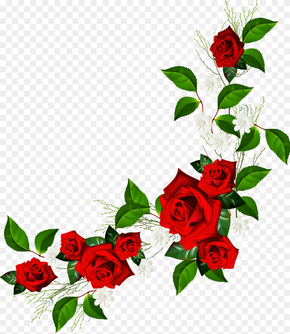 Image, Flower, Flower Arrangement, Flower Bouquet, Plant Free Png Download