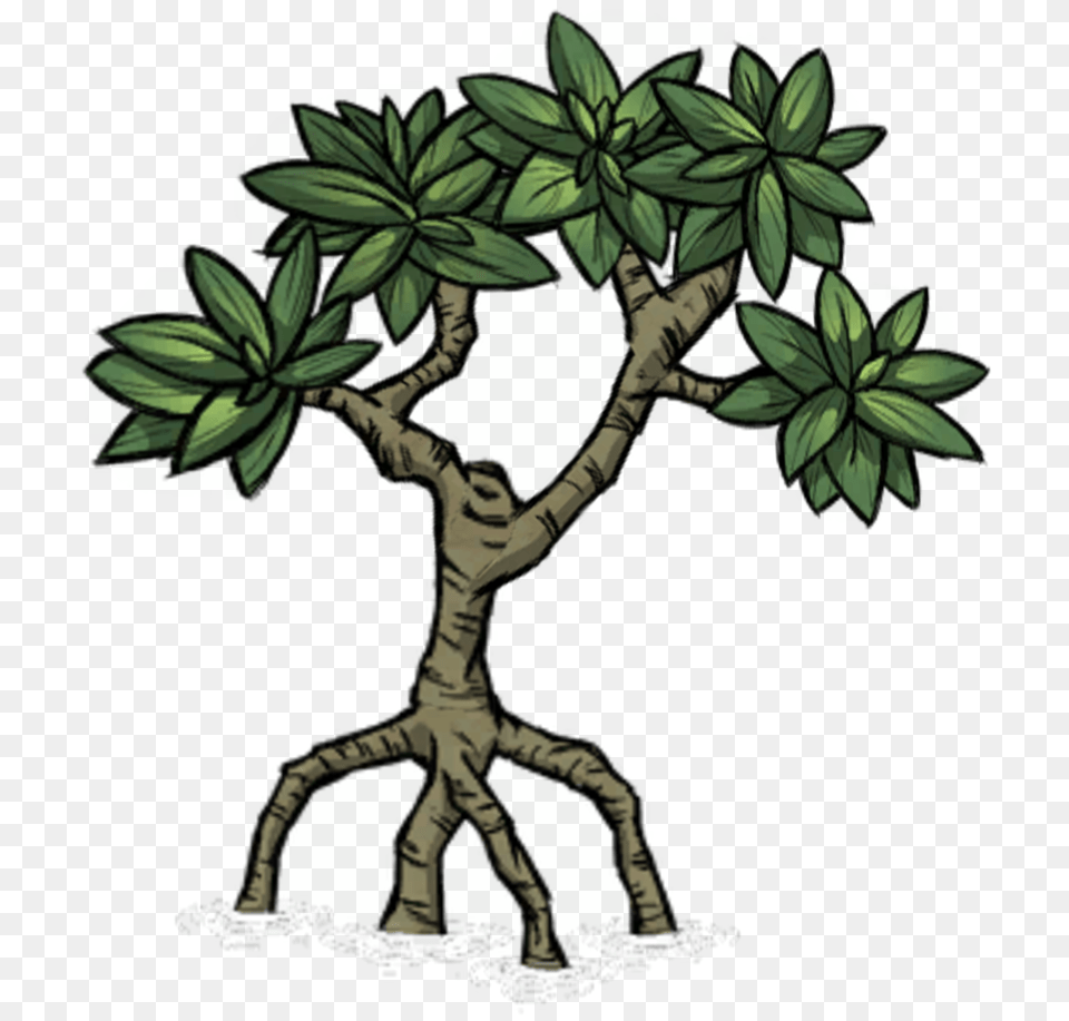 Green, Tree, Leaf, Potted Plant Png Image