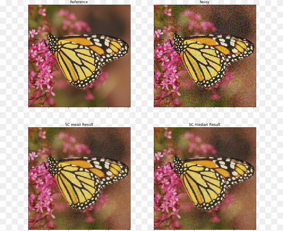 Image, Art, Collage, Animal, Butterfly Png