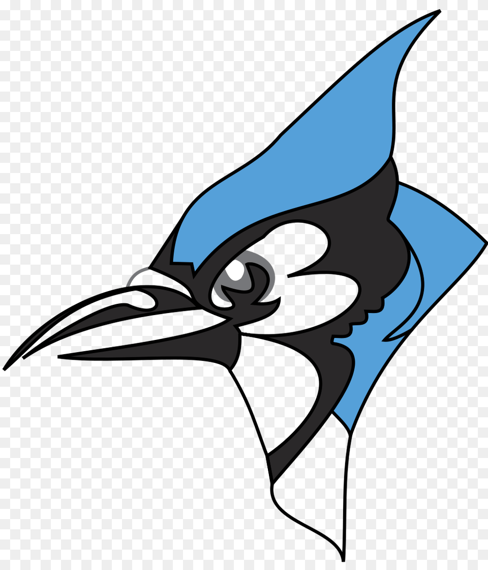 Image, Animal, Bird, Jay, Fish Free Transparent Png