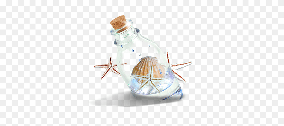 Glass, Bottle, Shaker, Jar Png Image