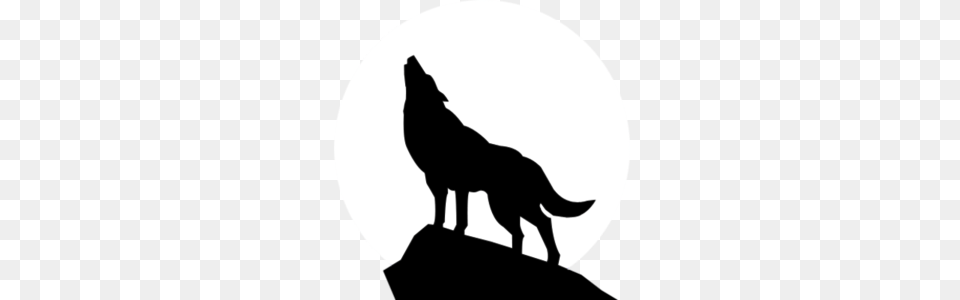 Image, Silhouette, Animal, Coyote, Mammal Png