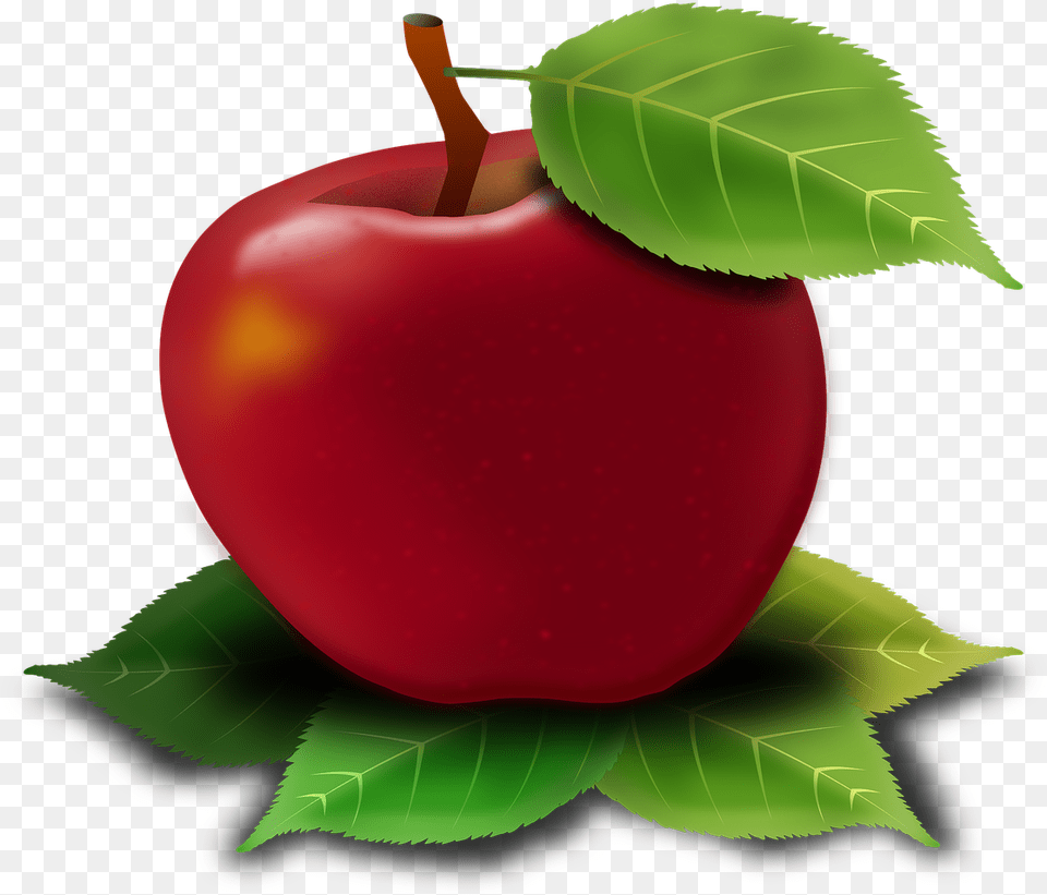 Image, Apple, Food, Fruit, Plant Free Png Download