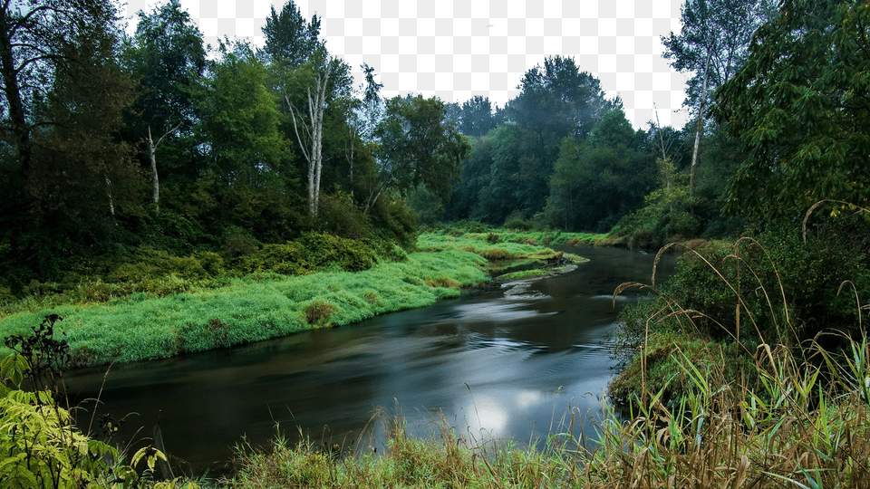 Image, Creek, Water, Stream, Pond Free Transparent Png