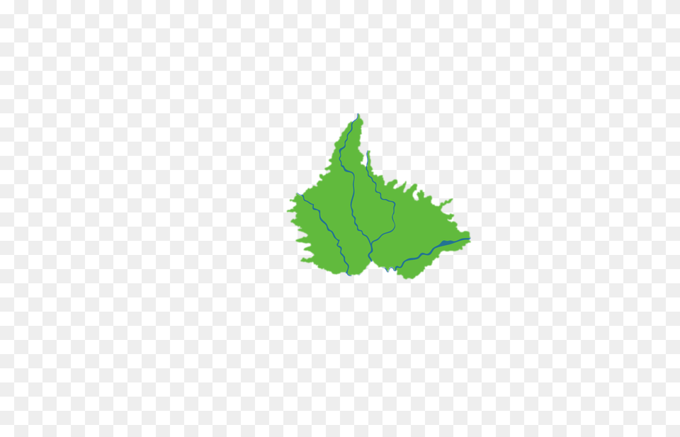 Green, Leaf, Plant, Oak Png Image