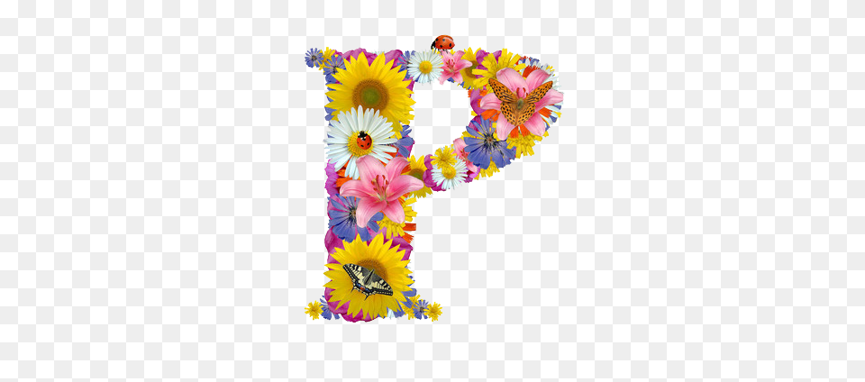 Image, Plant, Daisy, Flower, Flower Arrangement Free Transparent Png