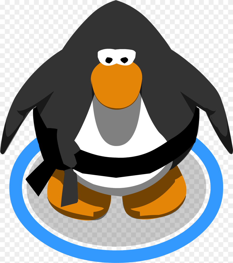 Image, Animal, Bird, Penguin, Person Free Transparent Png