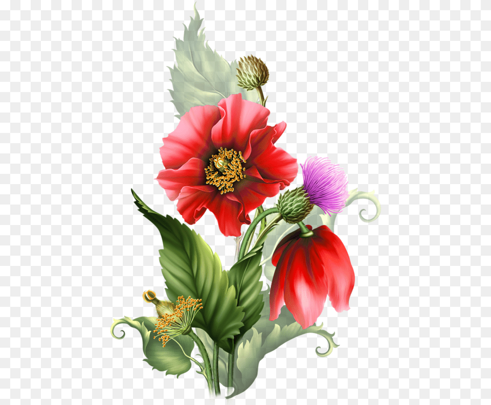 Pollen, Plant, Flower, Flower Bouquet Png Image