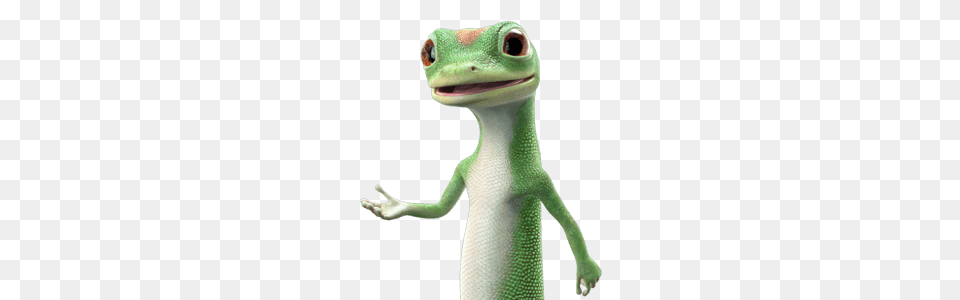 Image, Animal, Gecko, Lizard, Reptile Png