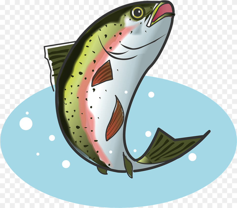 Image, Animal, Fish, Sea Life, Trout Free Png Download