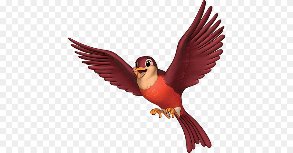 Image, Animal, Beak, Bird Free Png Download