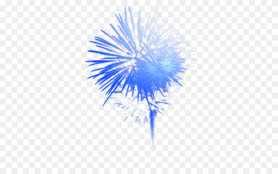 Flower, Plant, Dandelion Png Image