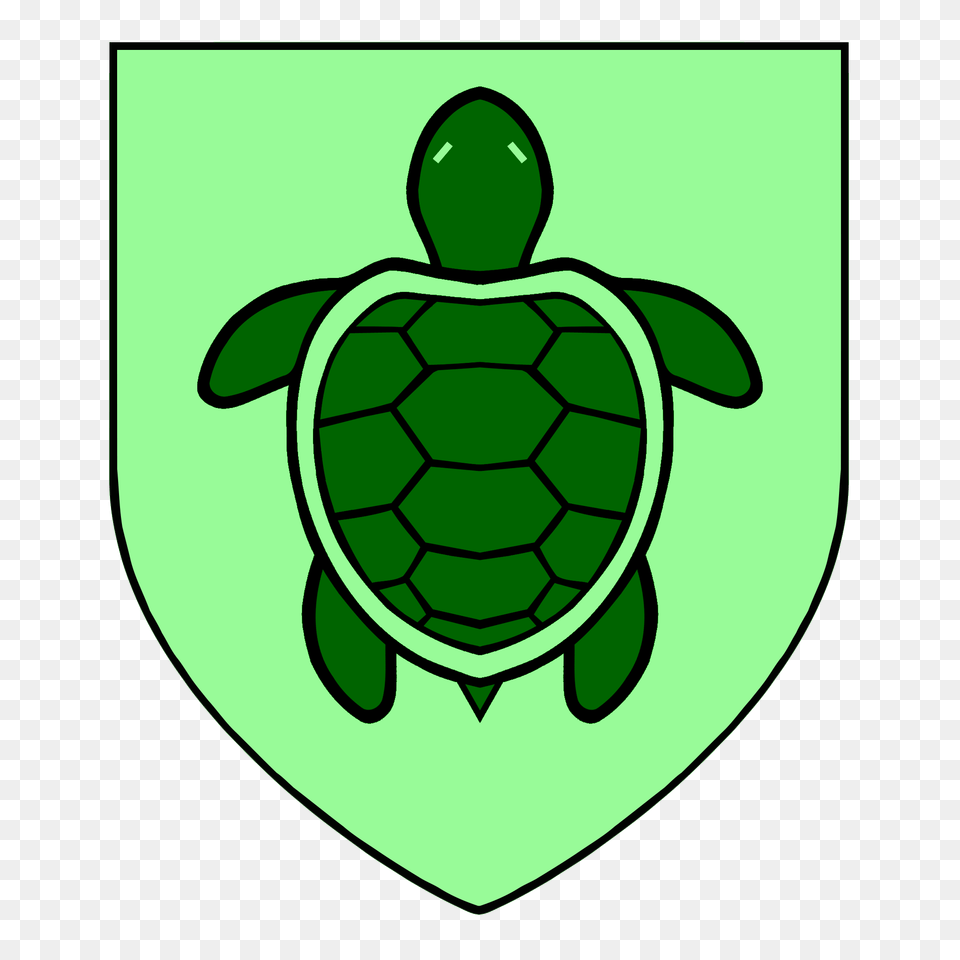 Animal, Reptile, Sea Life, Turtle Png Image