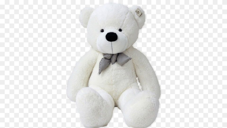 Teddy Bear, Toy Png Image