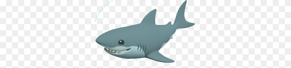 Image, Animal, Fish, Sea Life, Shark Free Transparent Png