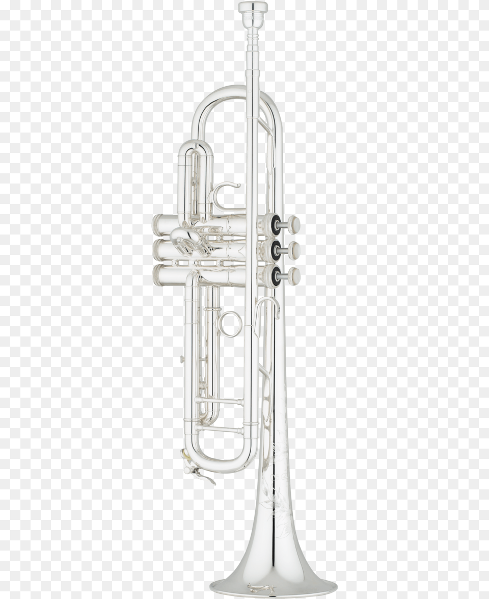 Image, Brass Section, Flugelhorn, Musical Instrument, Horn Png