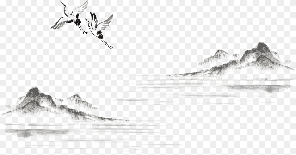 Image, Animal, Bird, Flying, Nature Free Transparent Png