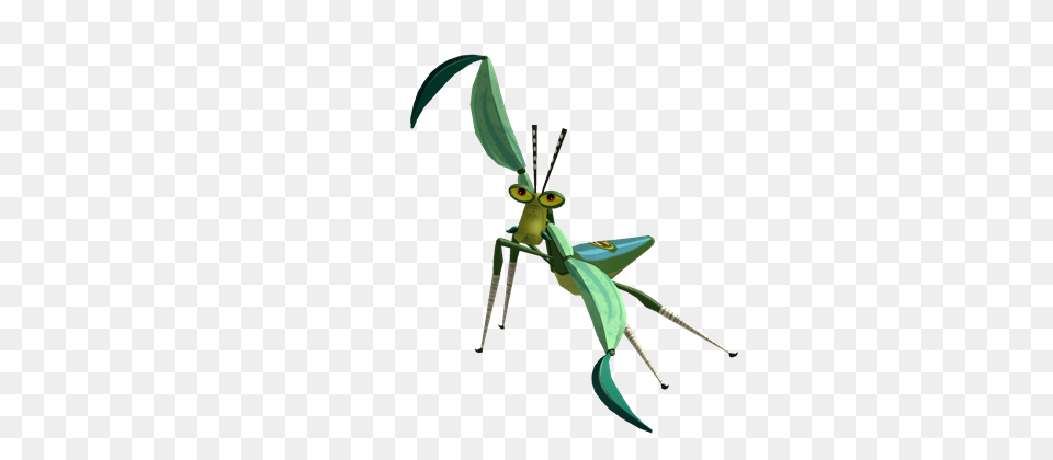 Image, Animal, Insect, Invertebrate, Mantis Png