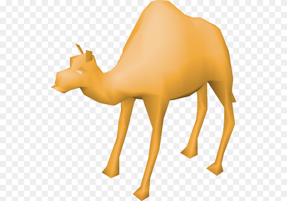 Image, Animal, Camel, Mammal, Adult Free Png Download