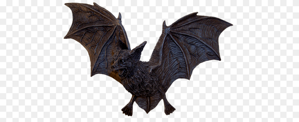 Animal, Mammal, Wildlife, Bat Png Image