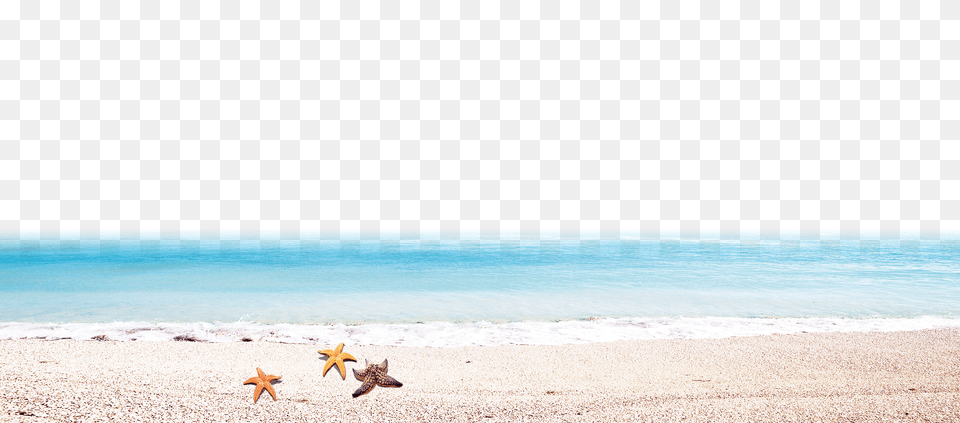 Image Free Transparent Png