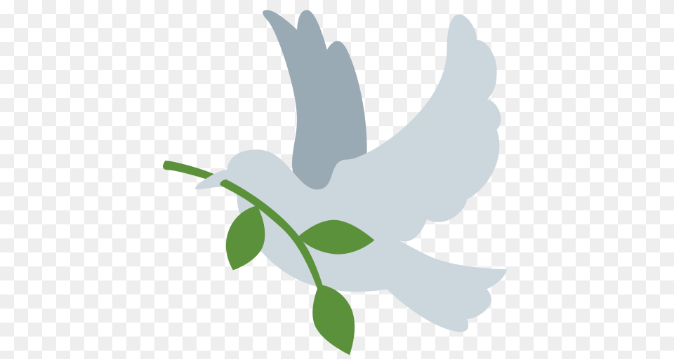 Image, Animal, Bird, Dove, Pigeon Free Transparent Png