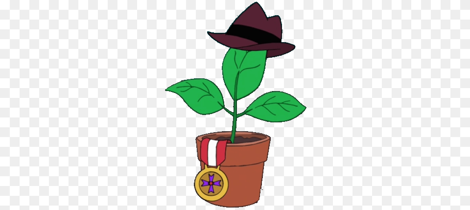 Image, Clothing, Hat, Plant, Potted Plant Png