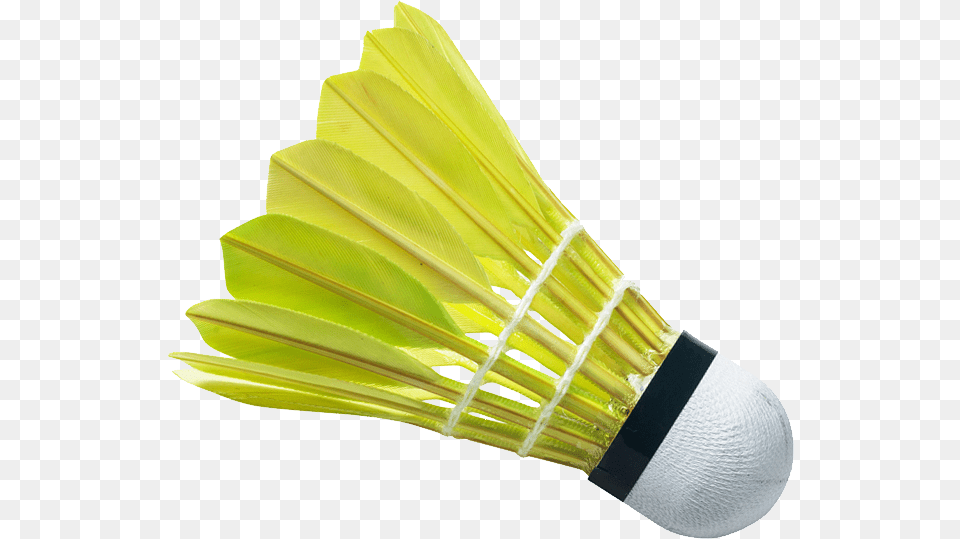 Image, Badminton, Person, Sport Free Png