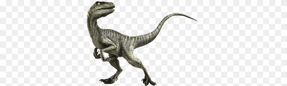 Image, Animal, Dinosaur, Reptile, T-rex Free Transparent Png