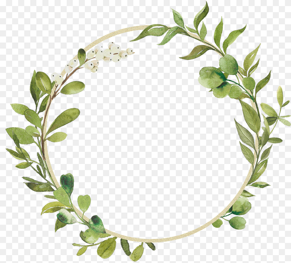 Image, Plant, Accessories, Jewelry, Bracelet Free Png