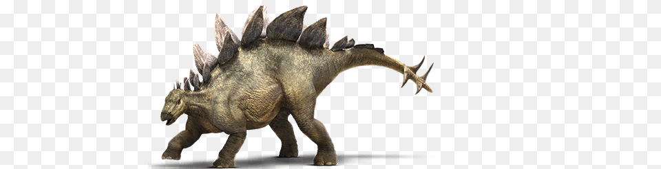 Animal, Dinosaur, Reptile Png Image