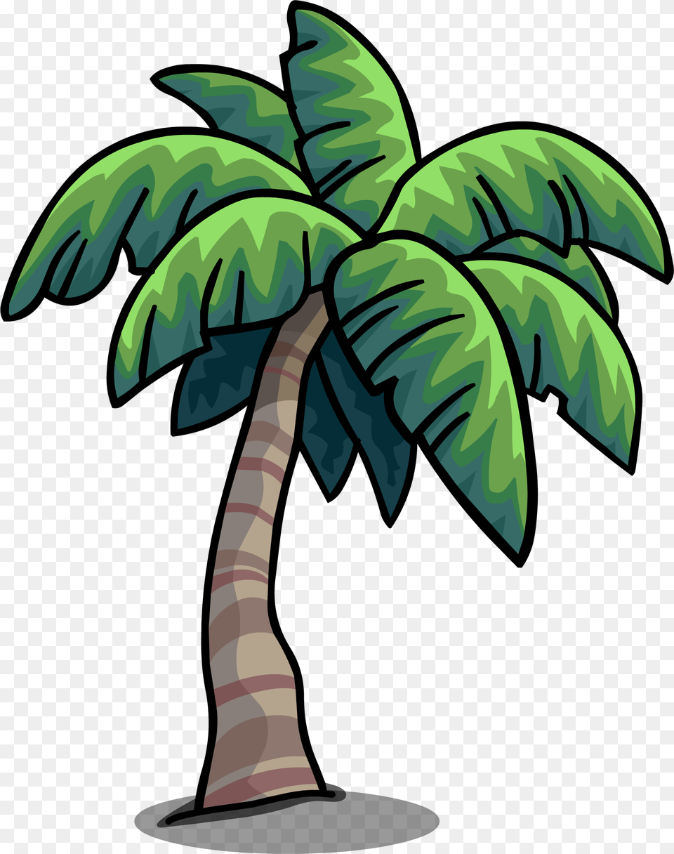 Image, Palm Tree, Plant, Tree, Vegetation Free Png Download