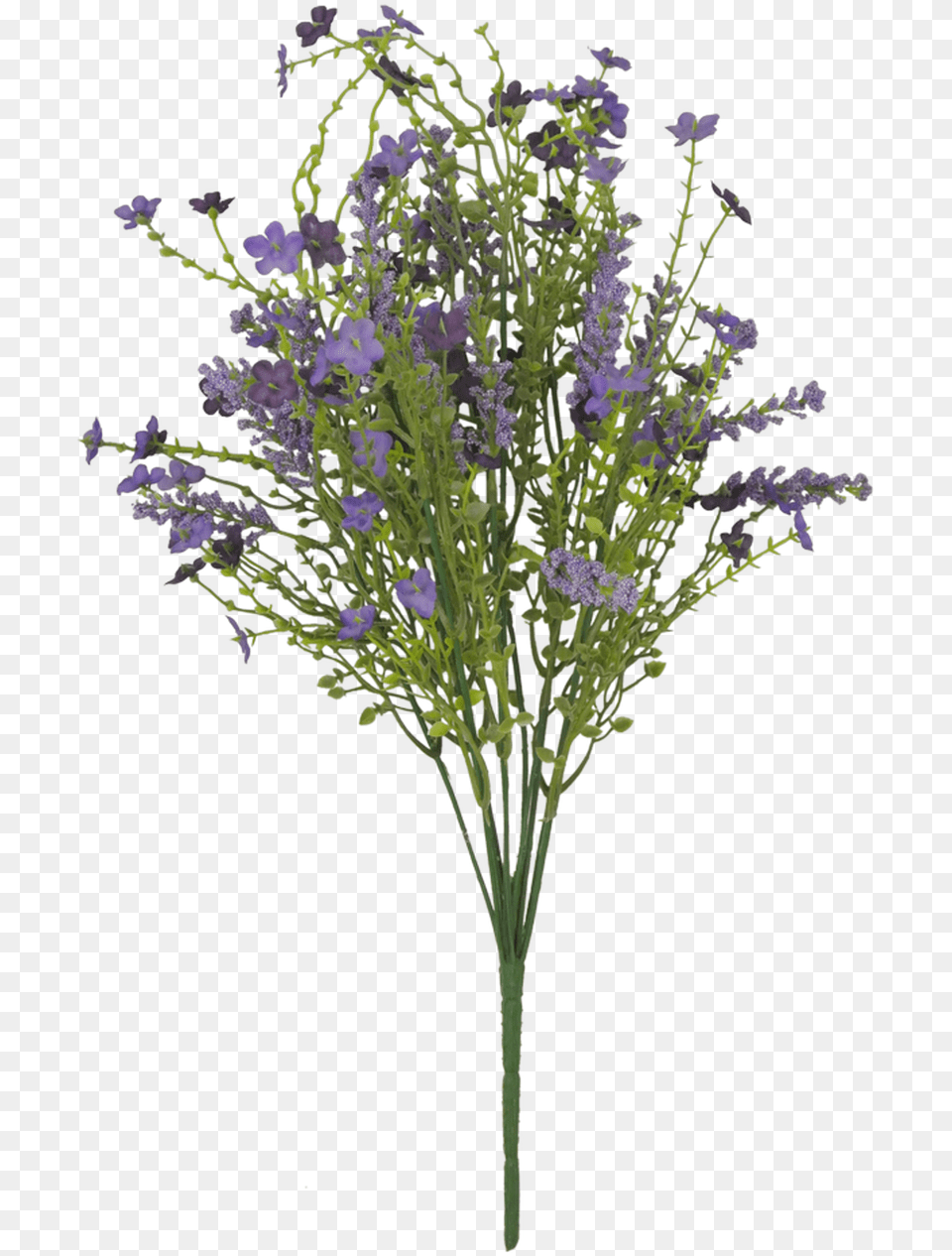 Image, Flower, Lavender, Plant, Flower Arrangement Free Png Download