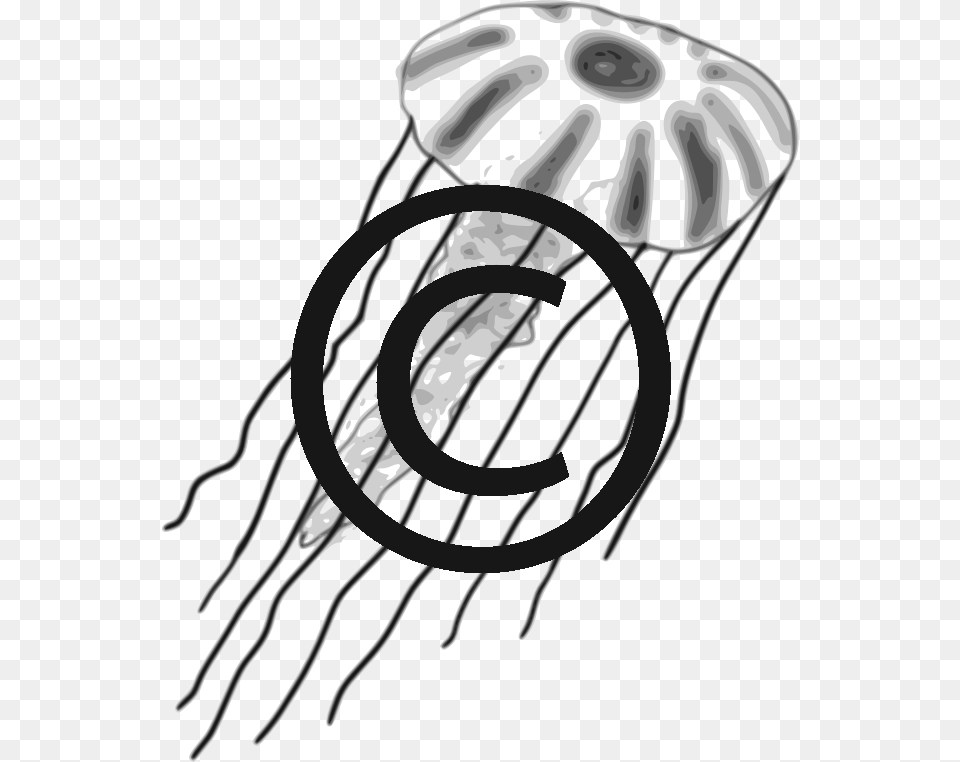 Image, Animal, Sea Life, Invertebrate, Jellyfish Png