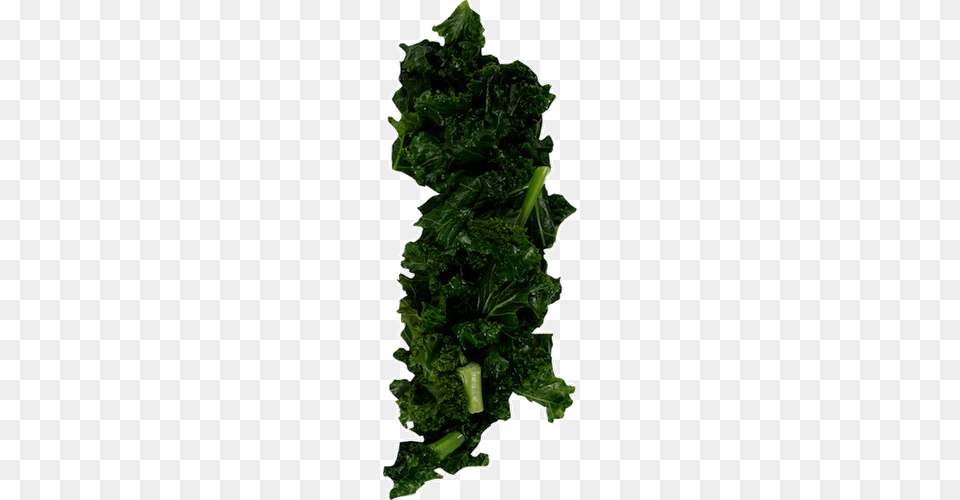 Image, Food, Produce, Kale, Leafy Green Vegetable Free Png