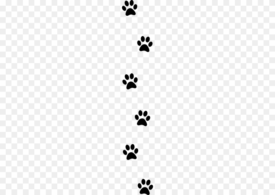 Image, Gray Free Png