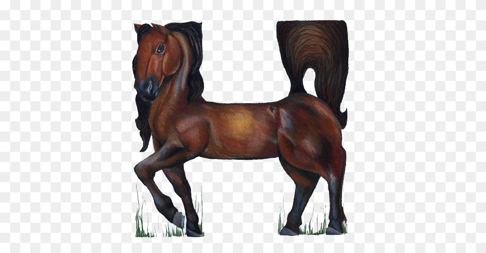 Image, Animal, Colt Horse, Horse, Mammal Free Png Download