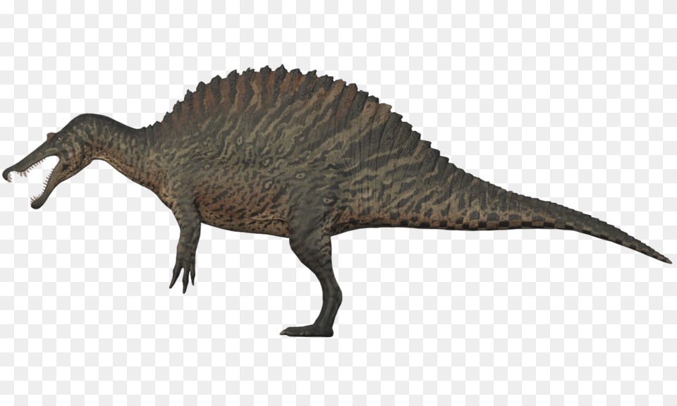 Image, Animal, Dinosaur, Reptile, T-rex Free Transparent Png