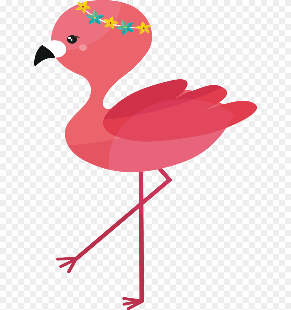 Animal, Beak, Bird, Flamingo Png Image