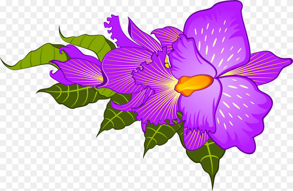 Image, Flower, Iris, Plant, Purple Free Png