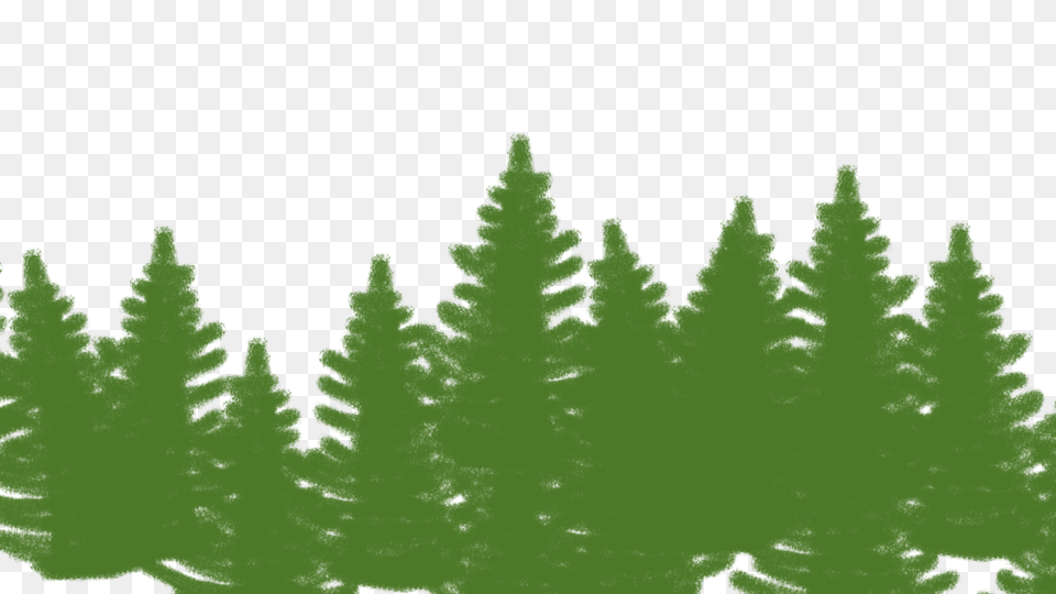 Image, Green, Leaf, Plant, Tree Free Png
