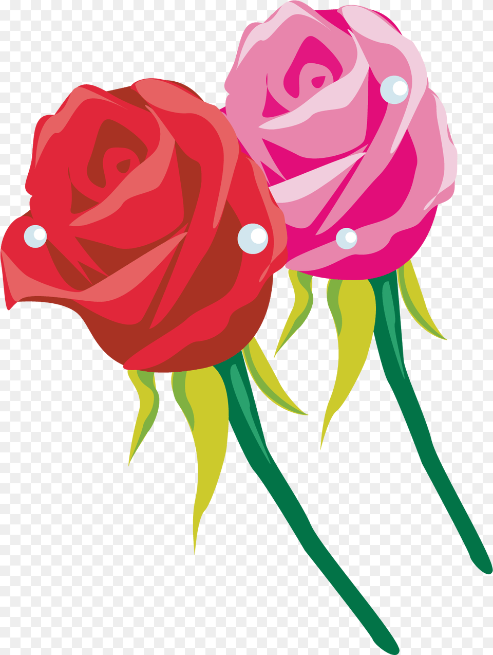 Image, Flower, Plant, Rose, Carnation Free Transparent Png