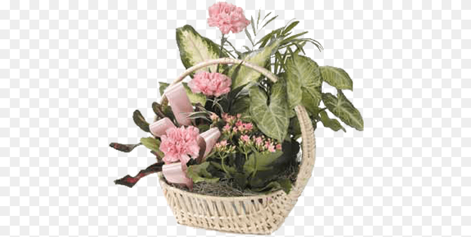 Plant, Flower, Flower Arrangement, Flower Bouquet Png Image