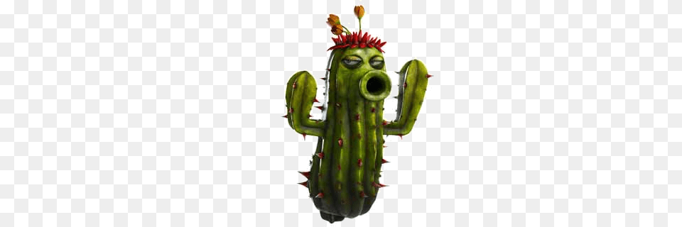 Image, Cactus, Plant Free Transparent Png