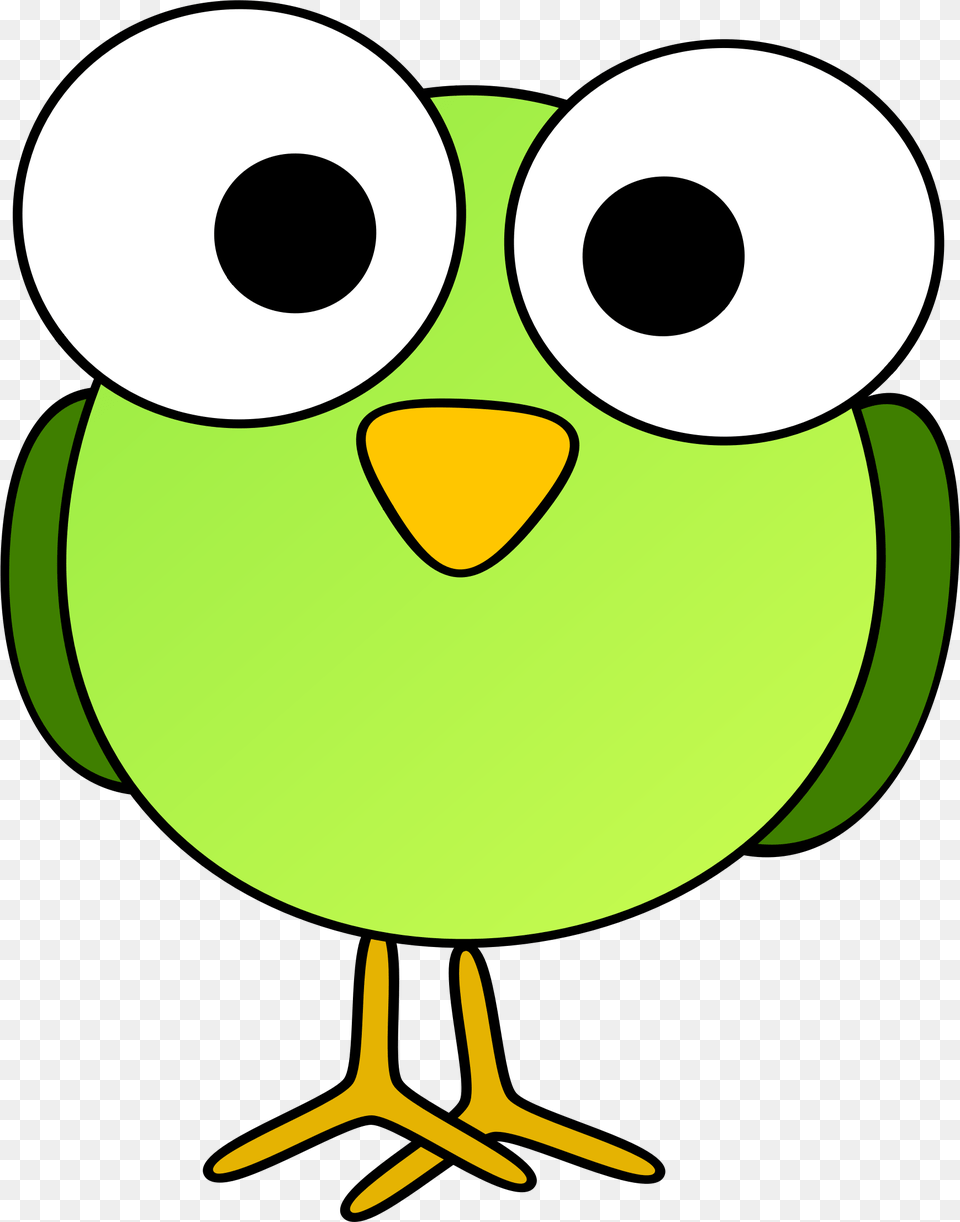 Image, Animal, Beak, Bird, Green Free Png
