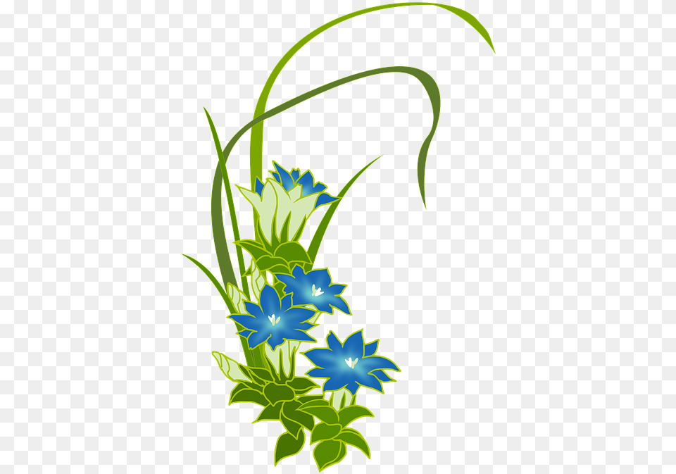 Image, Art, Plant, Floral Design, Flower Png