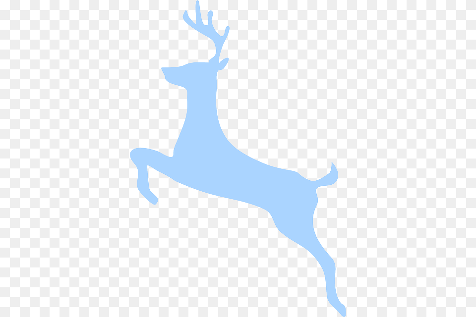 Animal, Deer, Mammal, Wildlife Png Image