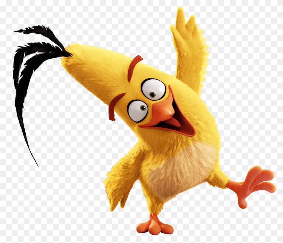 Image, Cartoon, Animal, Bird Free Png