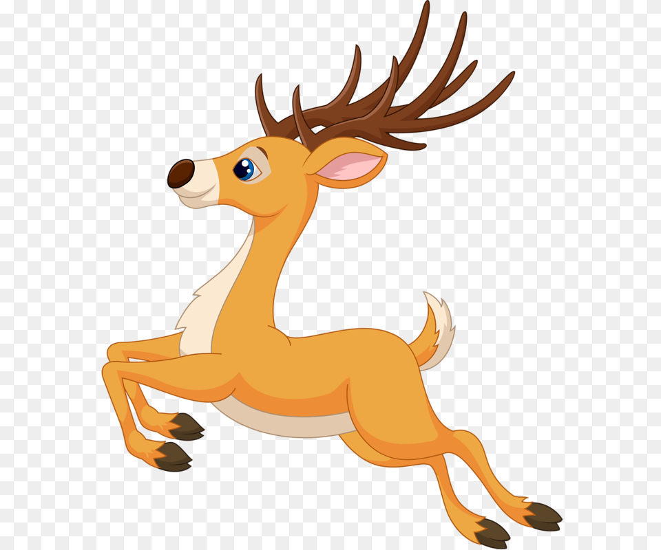 Animal, Deer, Mammal, Wildlife Png Image