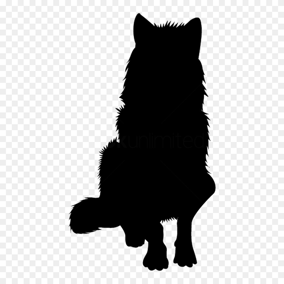 Image, Silhouette, Animal, Cat, Mammal Png